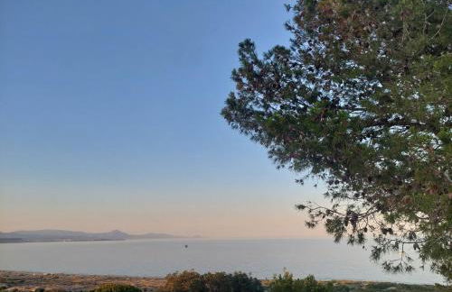 Gran Vista - playa y piscina - Photo 19