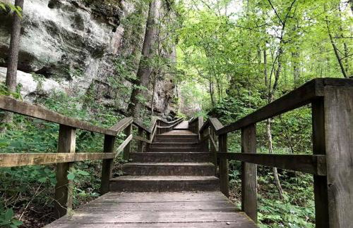 Lakefront Cabin with Fire Pit in Carbondale, Illinois - Foto 15