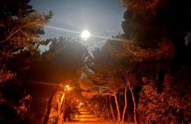 Apartmaji Valentina - Foto 47