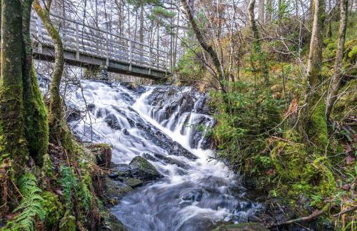 Pinewood Cottage - Newby Bridge - Foto 27