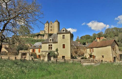 Petite maison en pierre au coeur du Périgord noir proche de Sarlat et Rocamadour - Foto 42