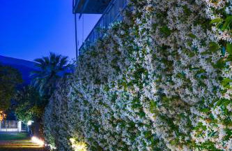 NikoleTakis Apartments - Foto 35