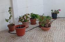 Casa Mimosa - Foto 29