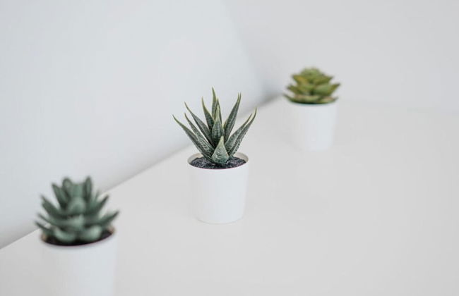 Torbogenhuus No. 7 Comfortable Holiday Residence - Photo 28