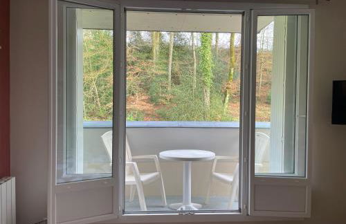 Studio meublé 26m² refait à neuf - Foto 16