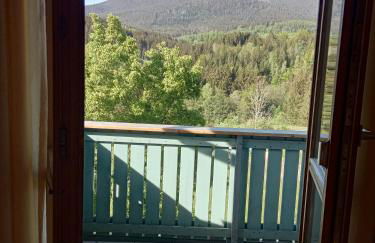 Ferienwohnung Osserglück - Foto 17