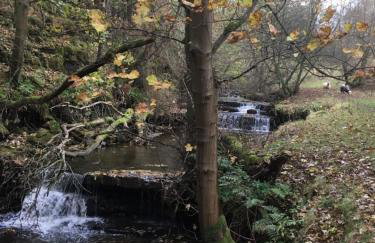 Weardale Cottage - Photo 42