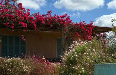 Finca El Idilio - Foto 9