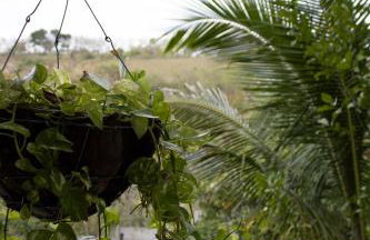 Campestre_05 : Casa de Campo para descansar. - Foto 52