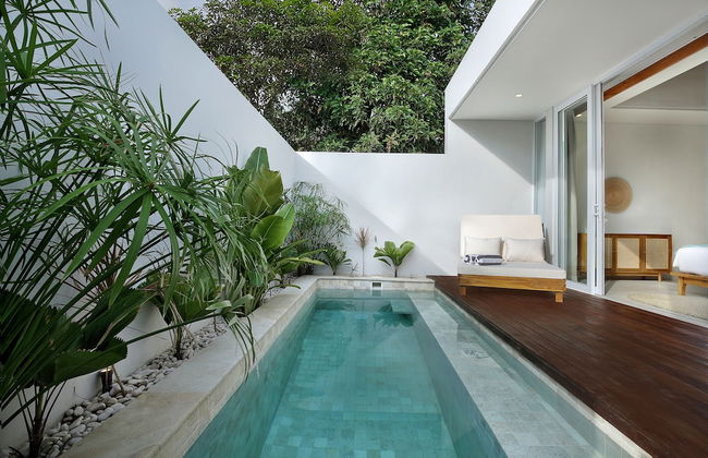 Neptune Studios Lombok - Foto 6