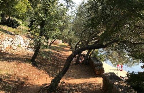 Apartments Six - Photo 61