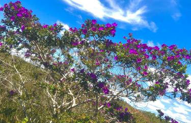 Casa Verde na Chapada Diamantina - Foto 16
