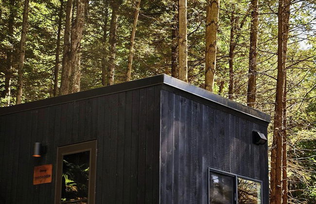 Postcard Cabins Kettle River, Outdoor Collection by Marriott Bonvoy - Foto 26