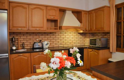 Molivos Hills Apartments - Foto 26