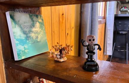 Morada das Estrelas - Foto 41