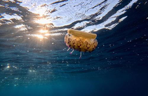 Mèna Mè - Casa vacanza - Salento - Foto 73