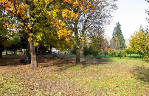 Vue du Gar - Foto 33