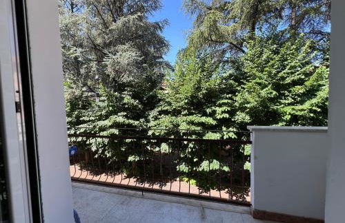 Don Comò - Photo 10