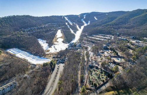 Massanutten 2 King Suites 4 BR Hot Tub Game Room Kids Toys Flower on the Mountain - Foto 33