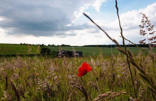 Fallow Lodge - Foto 47