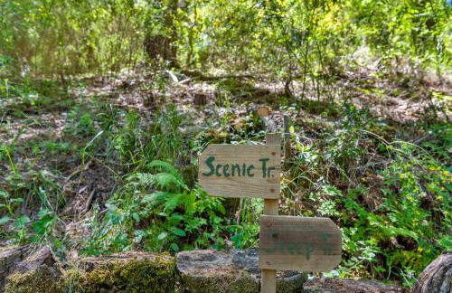 Caz-A-Verde - Foto 55