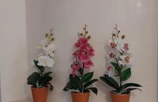 Ca' SVIZZERO - Foto 32