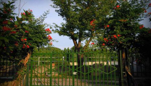 Casa di Bimba - Photo 3, Garden view