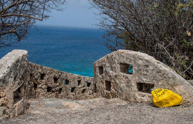 Tour del nord di Bonaire - Foto 4