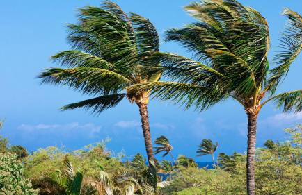 ❤PiH❤ Sunset Villa Great for Couples Bikes and Beach Gear - Foto 45