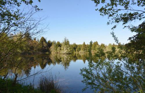 La Maison im Park von Schloss Schmidtheim - Foto 25