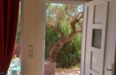 el paradiso - Foto 8