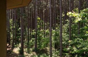 New Beautifully Updated Home with Gameroom! - Foto 72