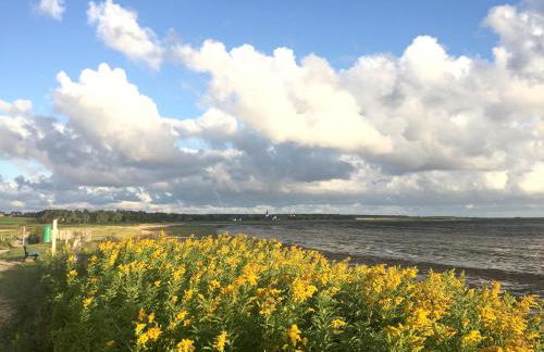 Friesenhaus Amrum Friesenhaushälfte *Hommelkasche* - Foto 56