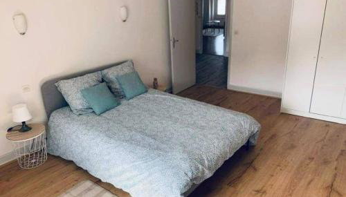 Charmant appartement T2 hypercentre de Mazamet - Foto 2