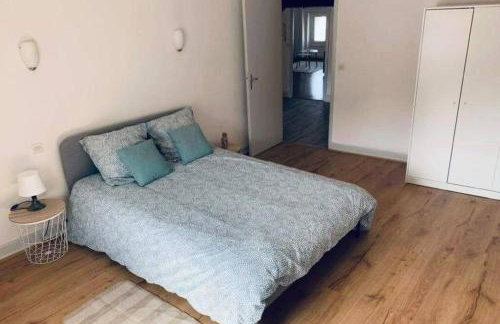 Charmant appartement T2 hypercentre de Mazamet - Foto 2