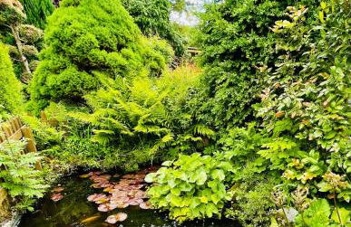 Ferienwohnung Boller I für 2 Personen - Foto 16
