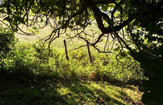 Apartamentos La Collada - Photo 43