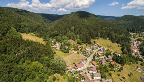 Das-Urlaubszuhause-fuer-Familien-Grossfamilien-Mehrfamilien-und-kleine-Gruppen-bis-zum-12-Personen-mit-vielen-Unterhaltungsmoeglichkeiten-im-Harz - Foto 5