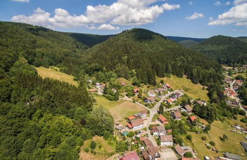 Das-Urlaubszuhause-fuer-Familien-Grossfamilien-Mehrfamilien-und-kleine-Gruppen-bis-zum-12-Personen-mit-vielen-Unterhaltungsmoeglichkeiten-im-Harz - Foto 5