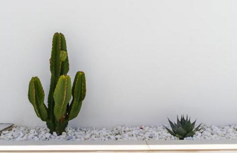 TESS Villa Monica - Foto 7