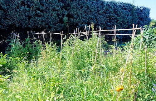 maison piscine privée Robion Luberon idéal famille - Foto 30