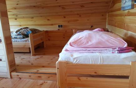 Brązowy Domek - Tleń, Bory Tucholskie - Foto 22