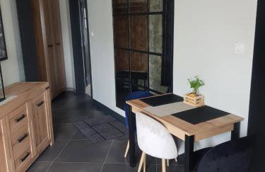 Apartamenty Terminal Charzykowy - Foto 12