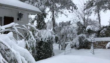 La Huerta de Chocolate Mínimo 2 años larga duración - Foto 4