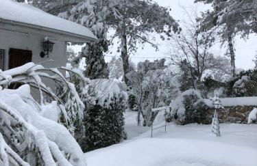 La Huerta de Chocolate Mínimo 2 años larga duración - Foto 4