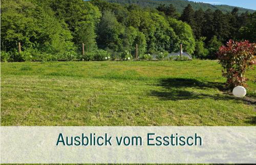 Traumweiler Ferienhäuser am Nationalpark Hunsrück Hochwald - barriearm - mit effektiver Kühlung - Foto 42