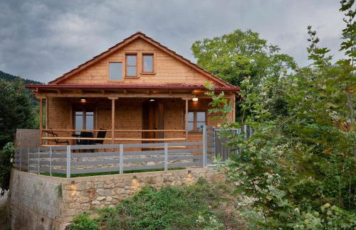 Ο κισσός - Foto 1