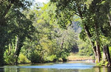 Historic Townhouse, Central Arganil, Casa da Maya - Foto 17