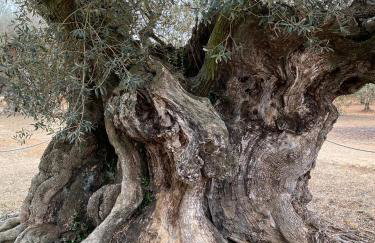 Casita del Toro - Foto 32