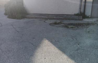 Gli Aristogatti - Foto 26